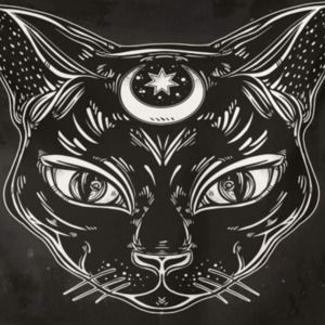 Meet your Posher, Joshua